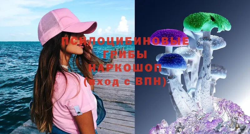 Псилоцибиновые грибы Magic Shrooms  сайты даркнета клад  Кизилюрт 